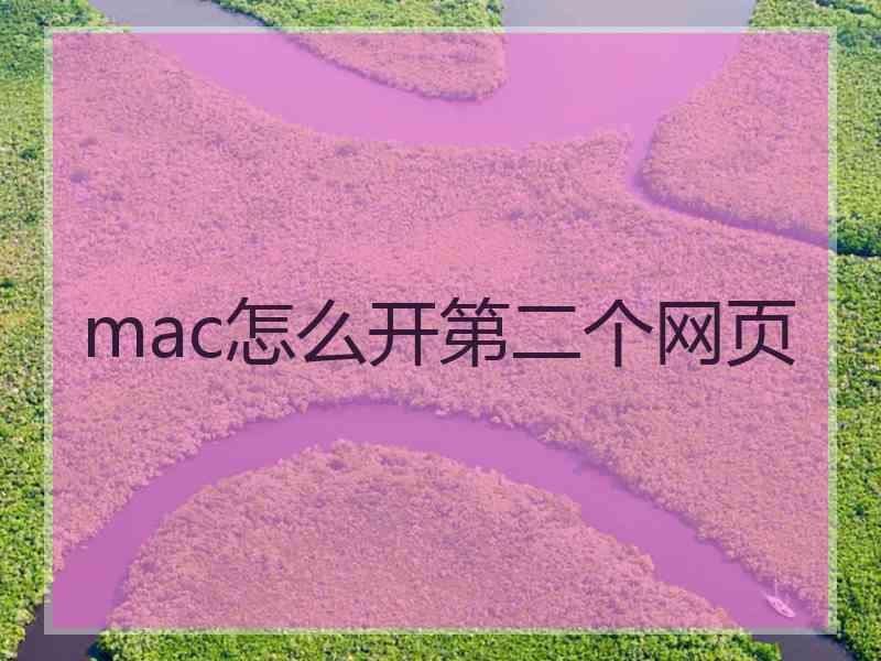 mac怎么开第二个网页