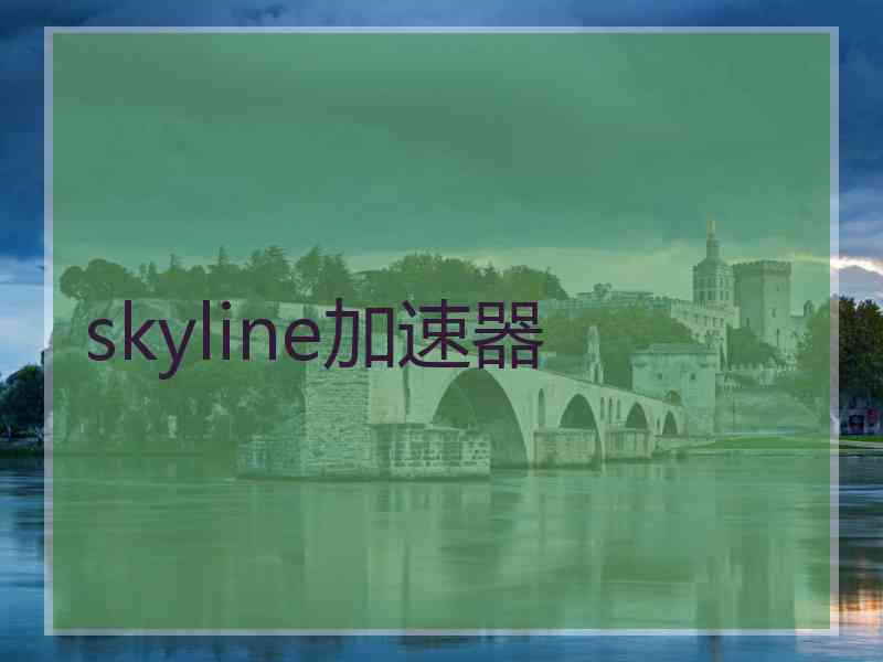 skyline加速器