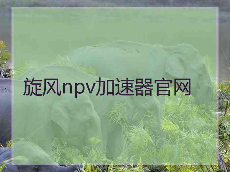 旋风npv加速器官网