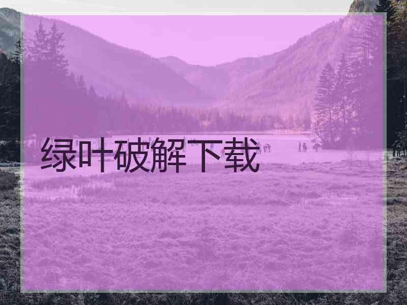 绿叶破解下载