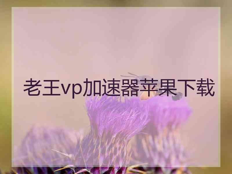 老王vp加速器苹果下载