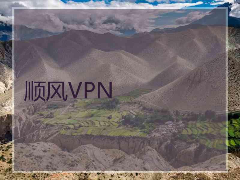 顺风VPN