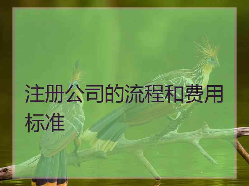 注册公司的流程和费用标准