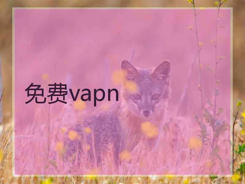 免费vapn