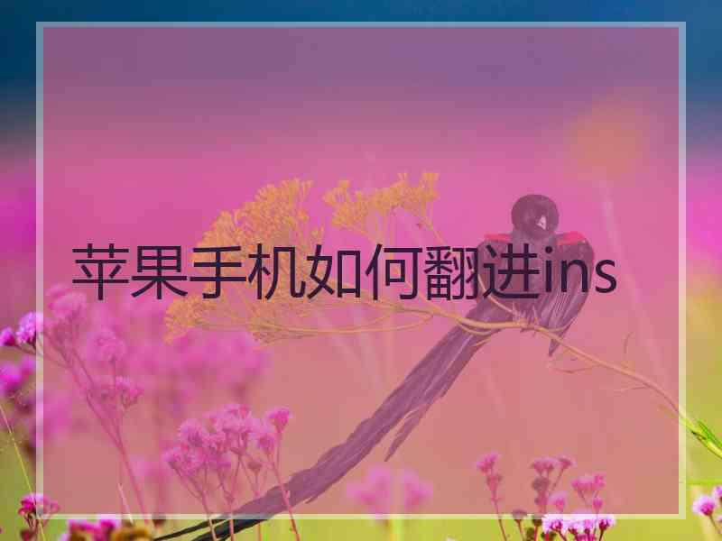 苹果手机如何翻进ins