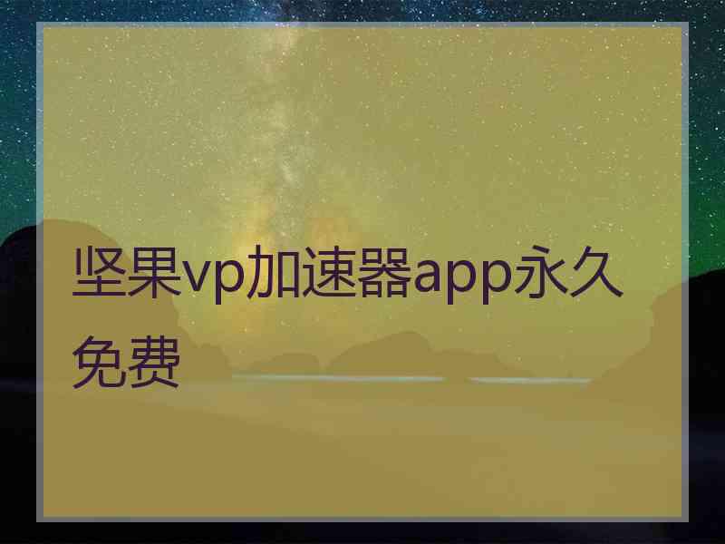 坚果vp加速器app永久免费