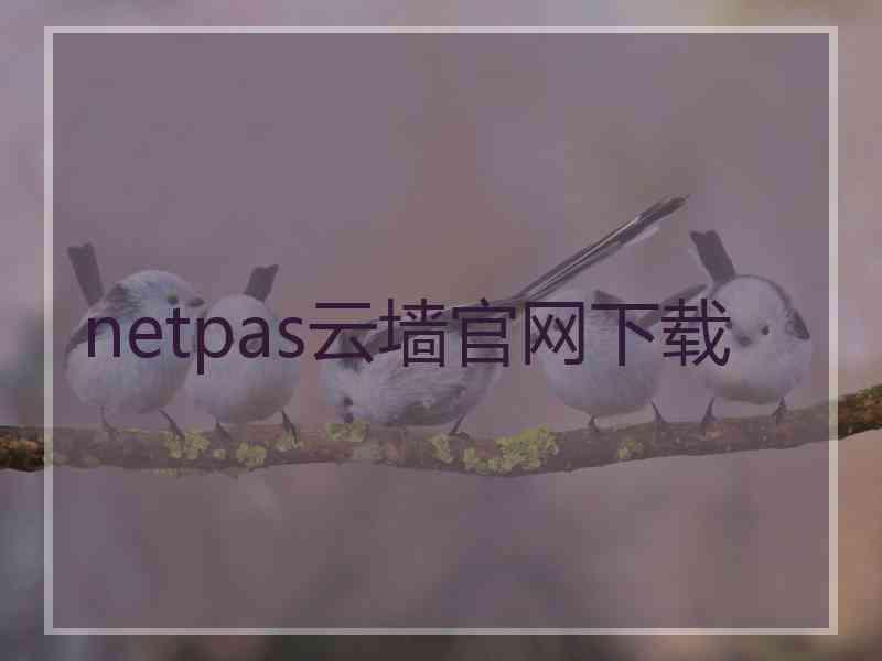 netpas云墙官网下载