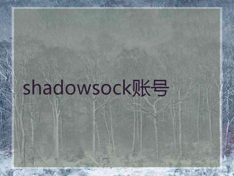 shadowsock账号