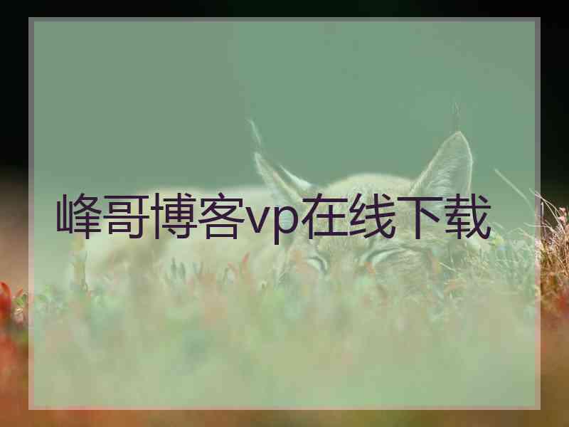 峰哥博客vp在线下载