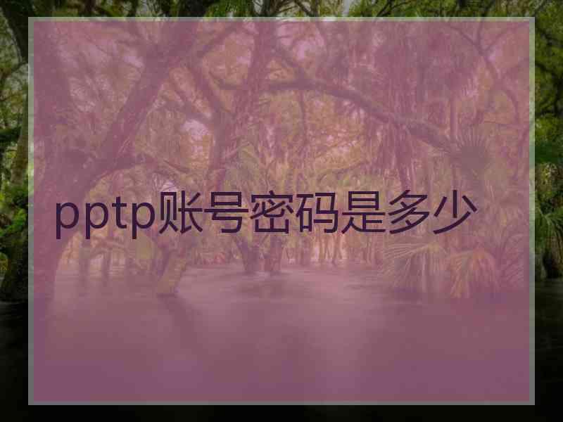 pptp账号密码是多少