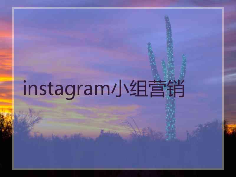 instagram小组营销