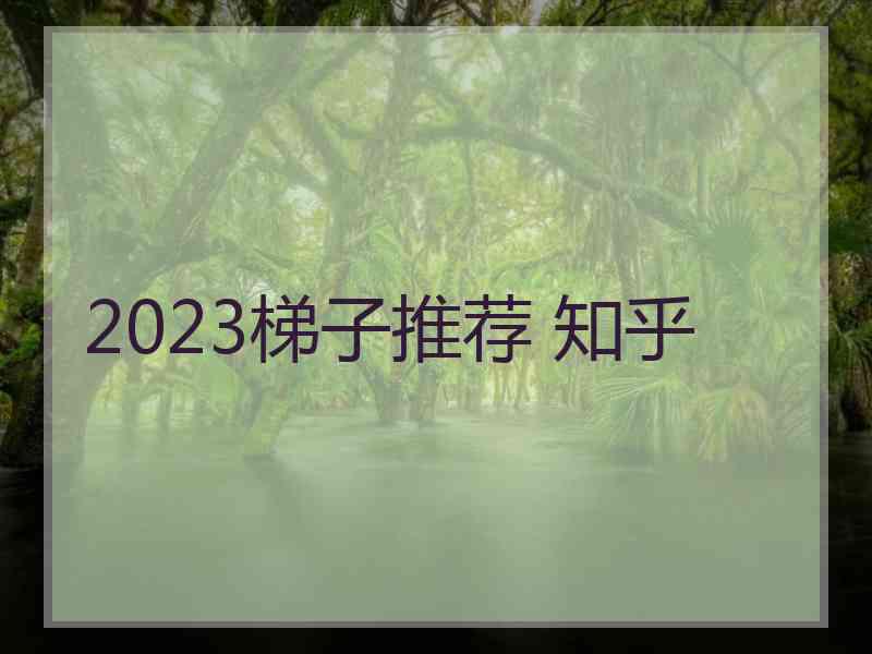 2023梯子推荐 知乎