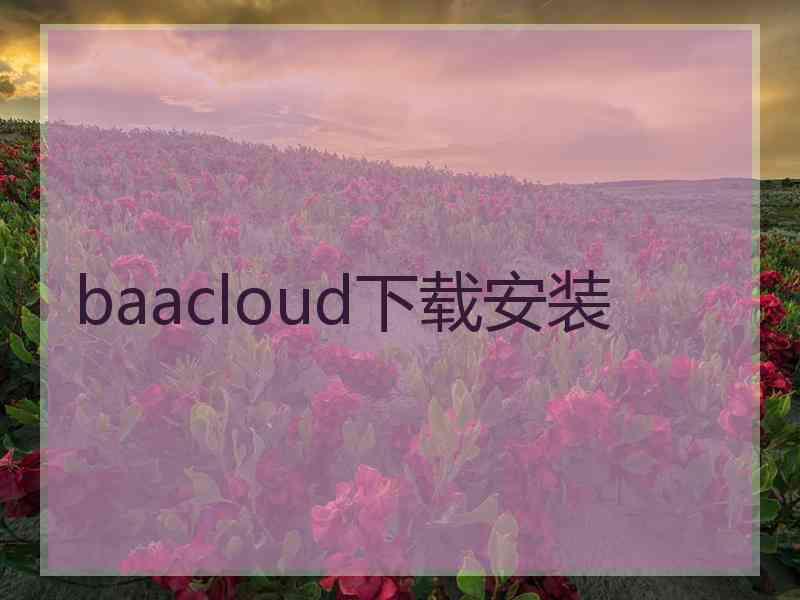 baacloud下载安装