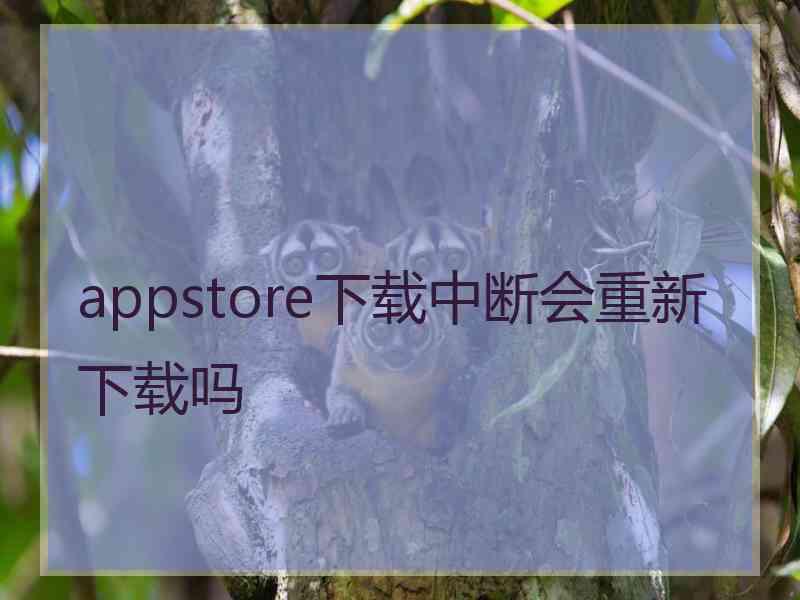 appstore下载中断会重新下载吗