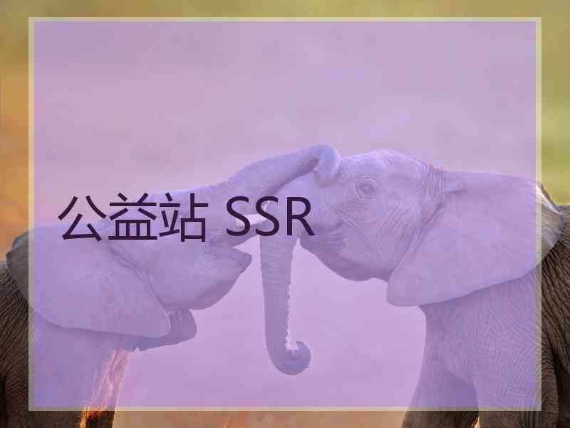 公益站 SSR