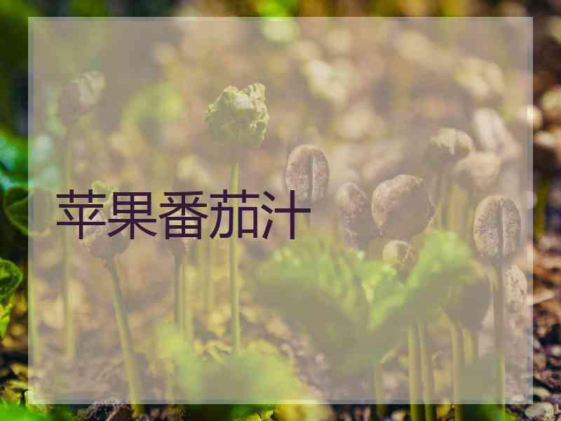 苹果番茄汁