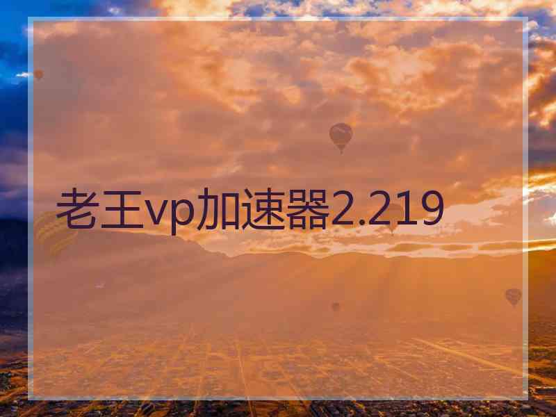 老王vp加速器2.219