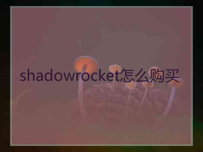 shadowrocket怎么购买