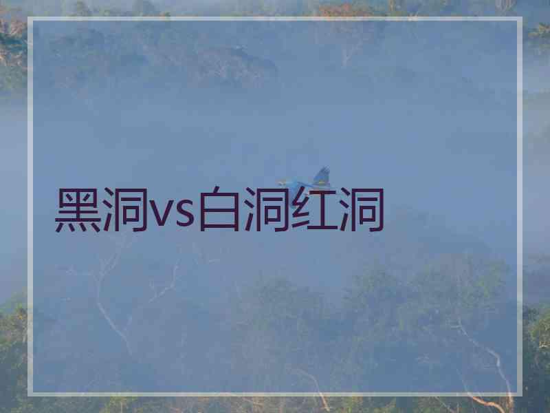 黑洞vs白洞红洞