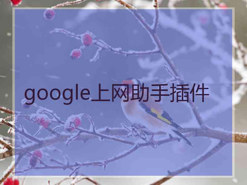 google上网助手插件