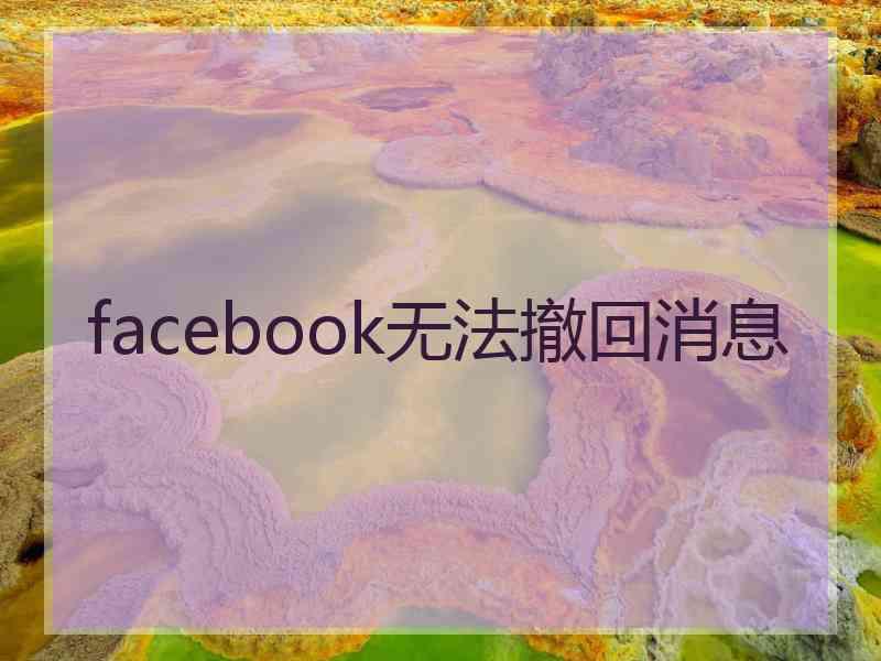 facebook无法撤回消息