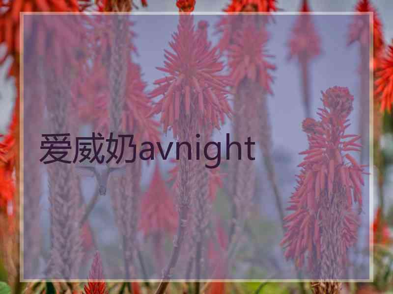 爱威奶avnight