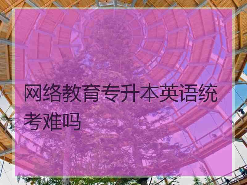 网络教育专升本英语统考难吗