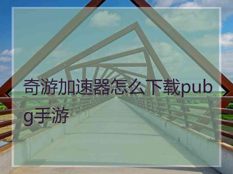 奇游加速器怎么下载pubg手游