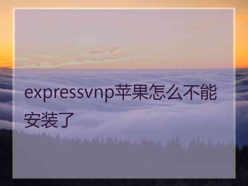 expressvnp苹果怎么不能安装了