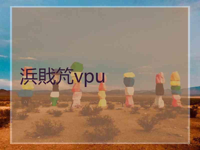 浜戝竼vpu