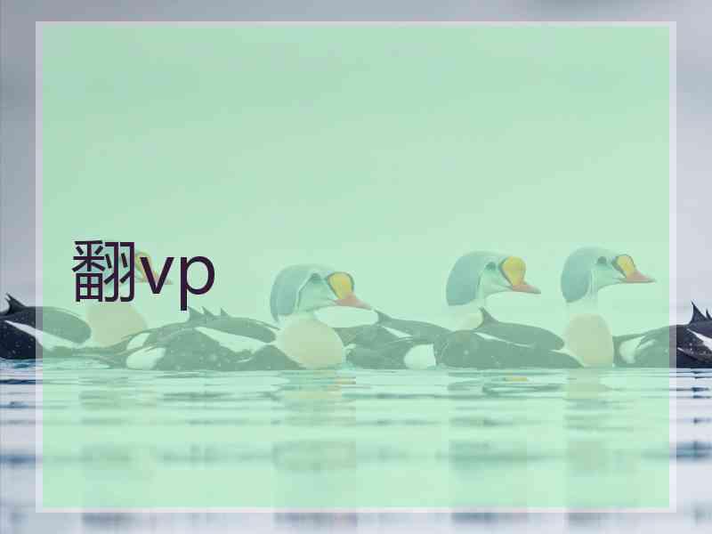 翻vp