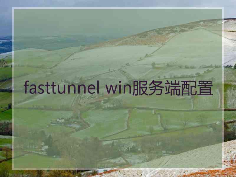 fasttunnel win服务端配置