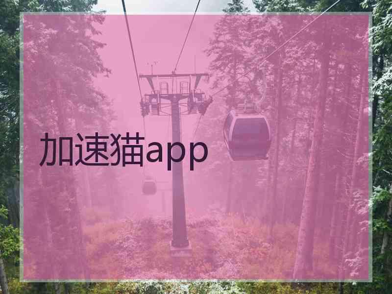 加速猫app