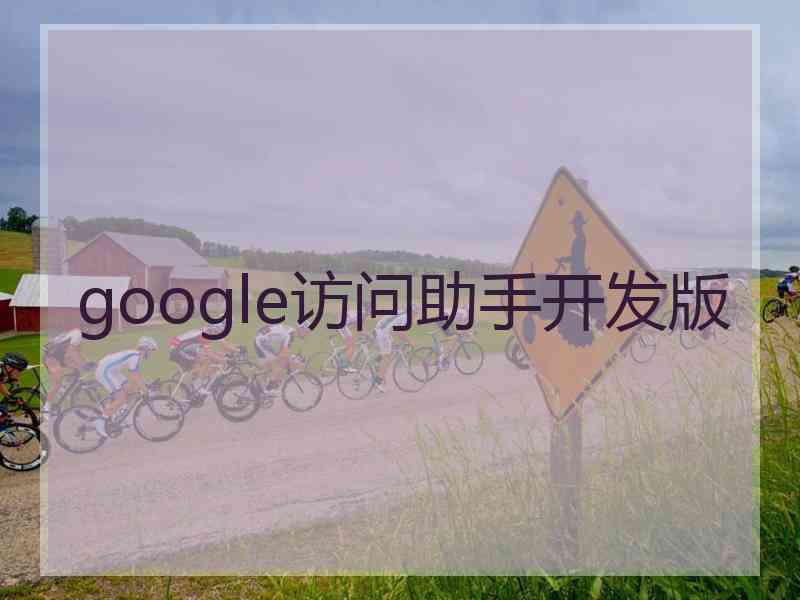 google访问助手开发版