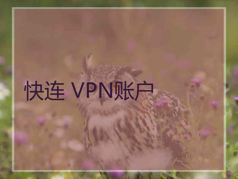 快连 VPN账户