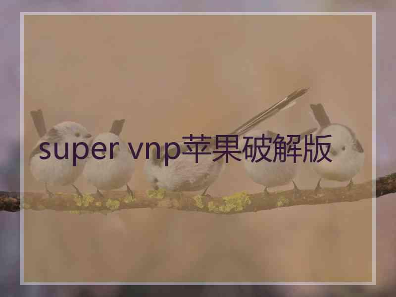 super vnp苹果破解版