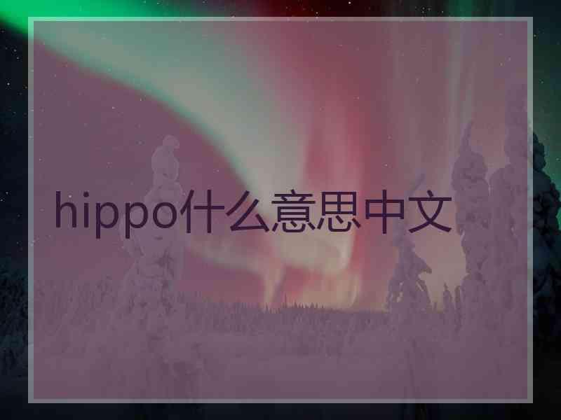 hippo什么意思中文