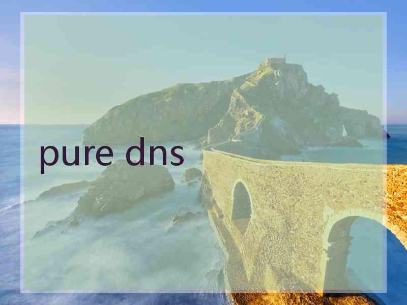 pure dns