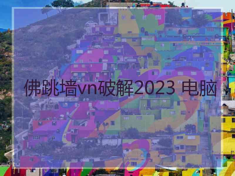 佛跳墙vn破解2023 电脑