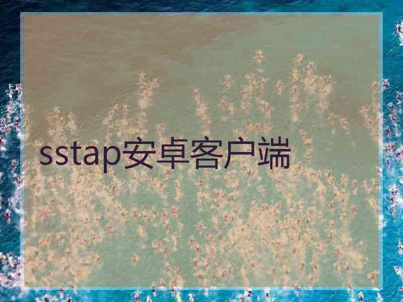 sstap安卓客户端