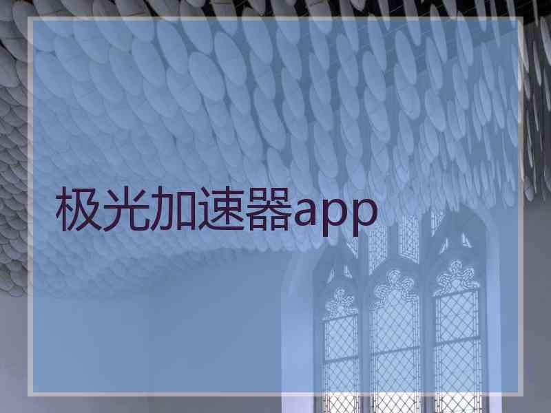 极光加速器app