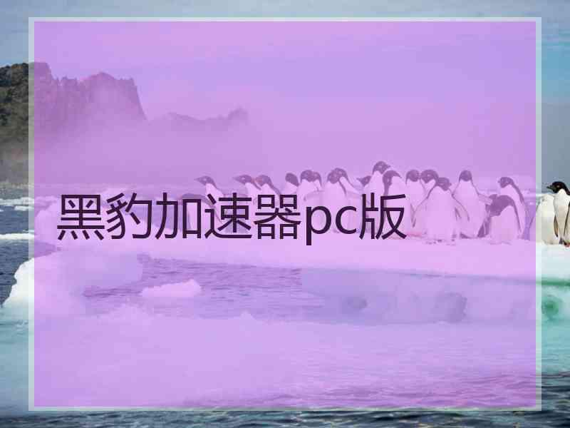 黑豹加速器pc版