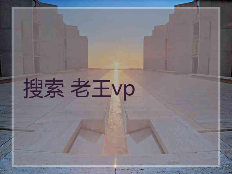 搜索 老王vp