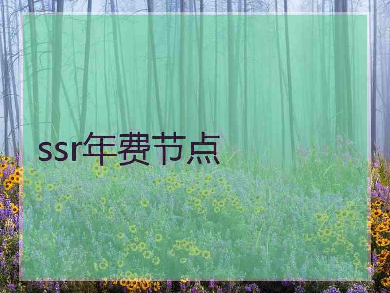 ssr年费节点