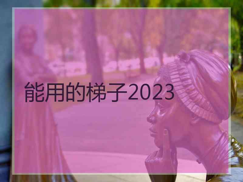 能用的梯子2023