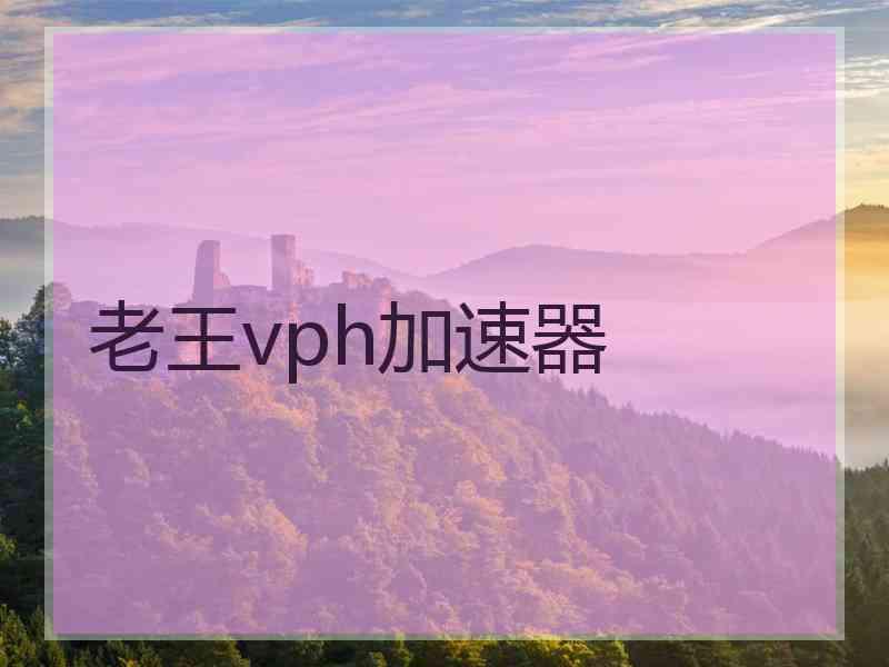 老王vph加速器