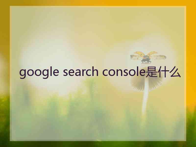 google search console是什么