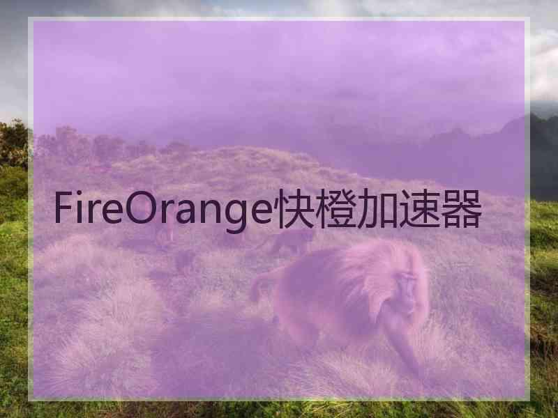 FireOrange快橙加速器