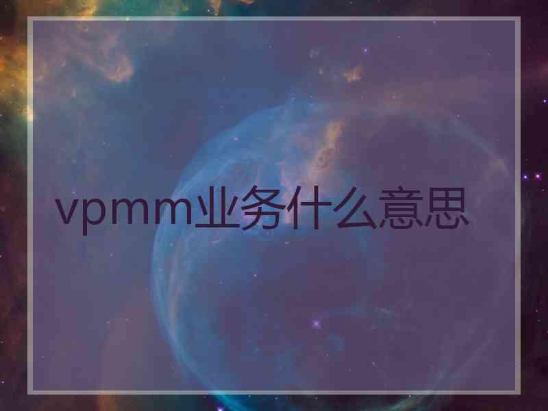 vpmm业务什么意思