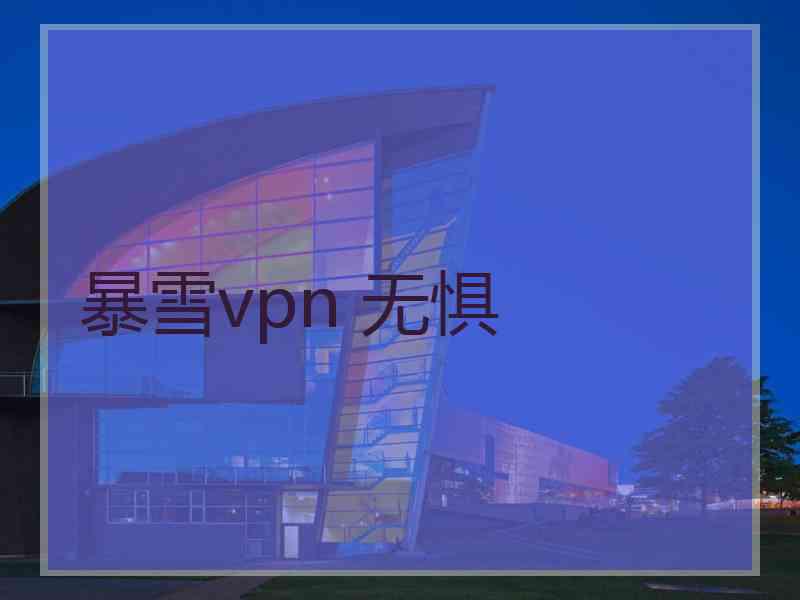 暴雪vpn 无惧